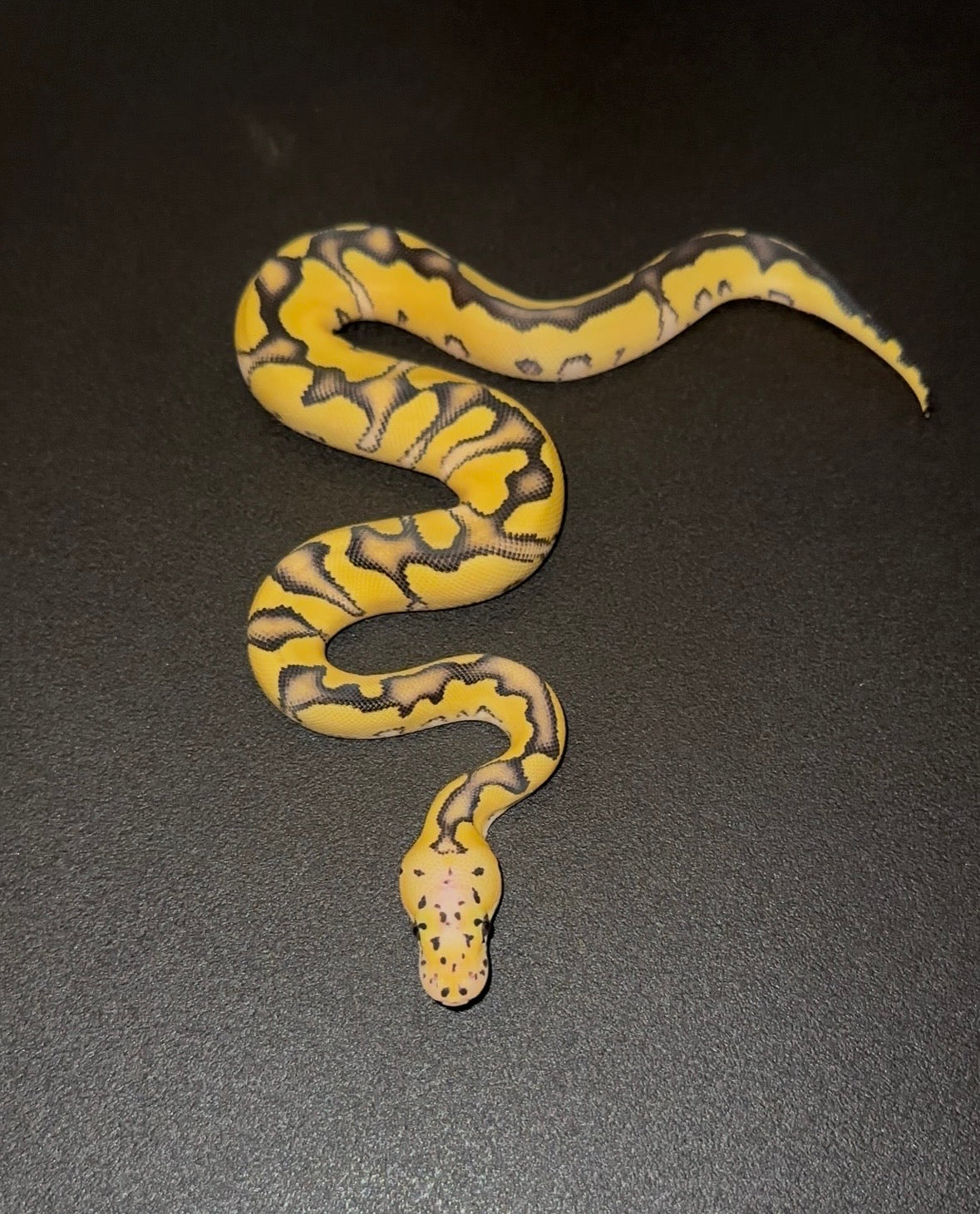 Desert Ghost Clown Stranger Enchi Vanilla Pastel macho (preventa)