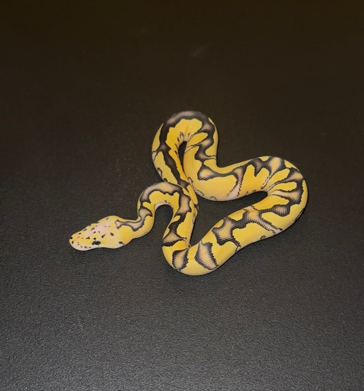 Desert Ghost Clown Stranger Enchi Vanilla Pastel macho (preventa)