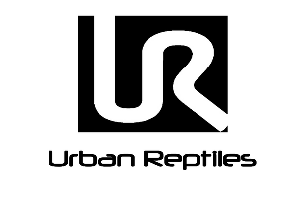 Urban Reptiles